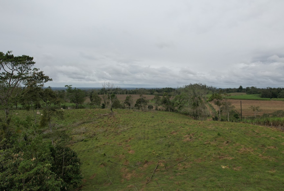Terreno en San Carlos